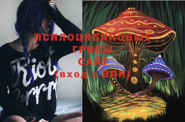 марки lsd Богданович