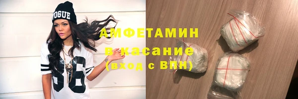 шишки Бронницы