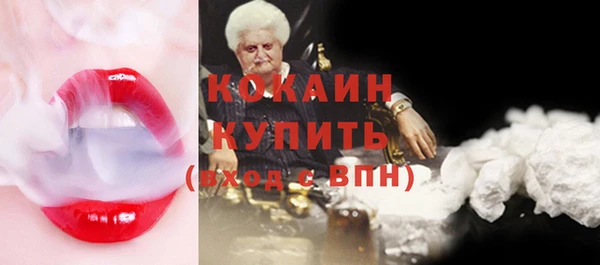 шишки Бронницы