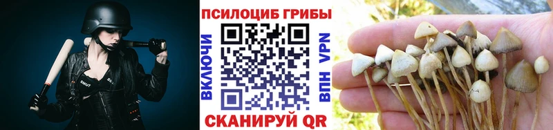 Псилоцибиновые грибы ЛСД  Мариинский Посад 